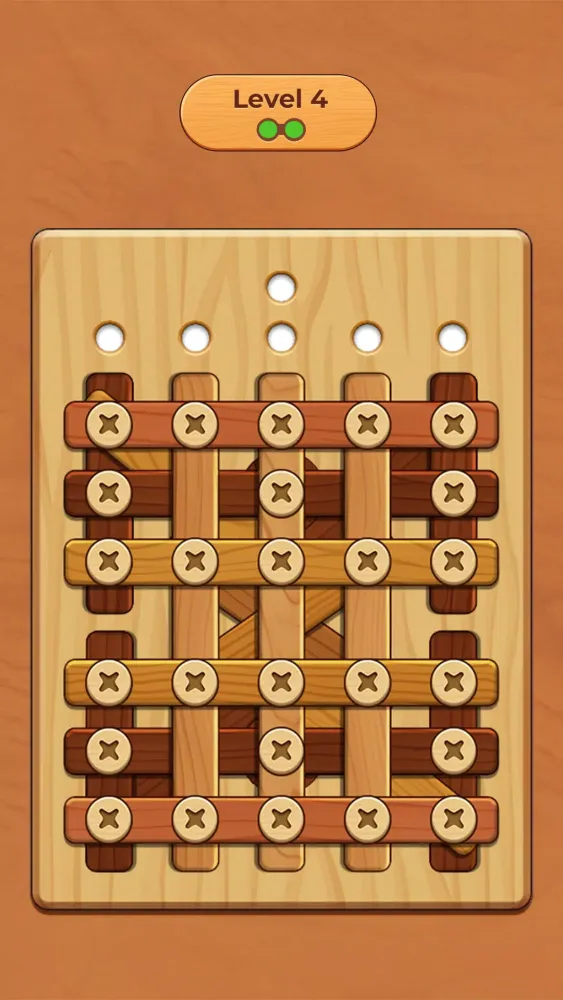 Wood Screw Puzzle Screenshots