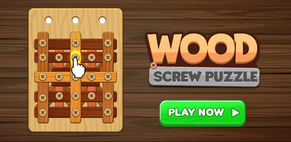 Wood Screw Puzzle