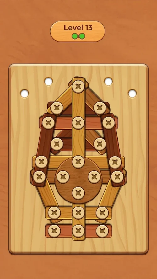 Wood Screw Puzzle-screenshot-1