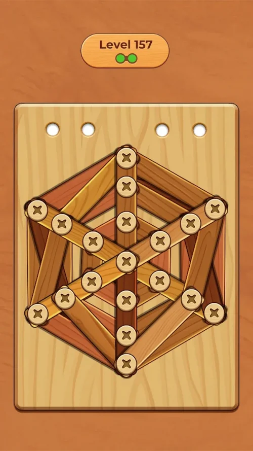 Wood Screw Puzzle-screenshot-5