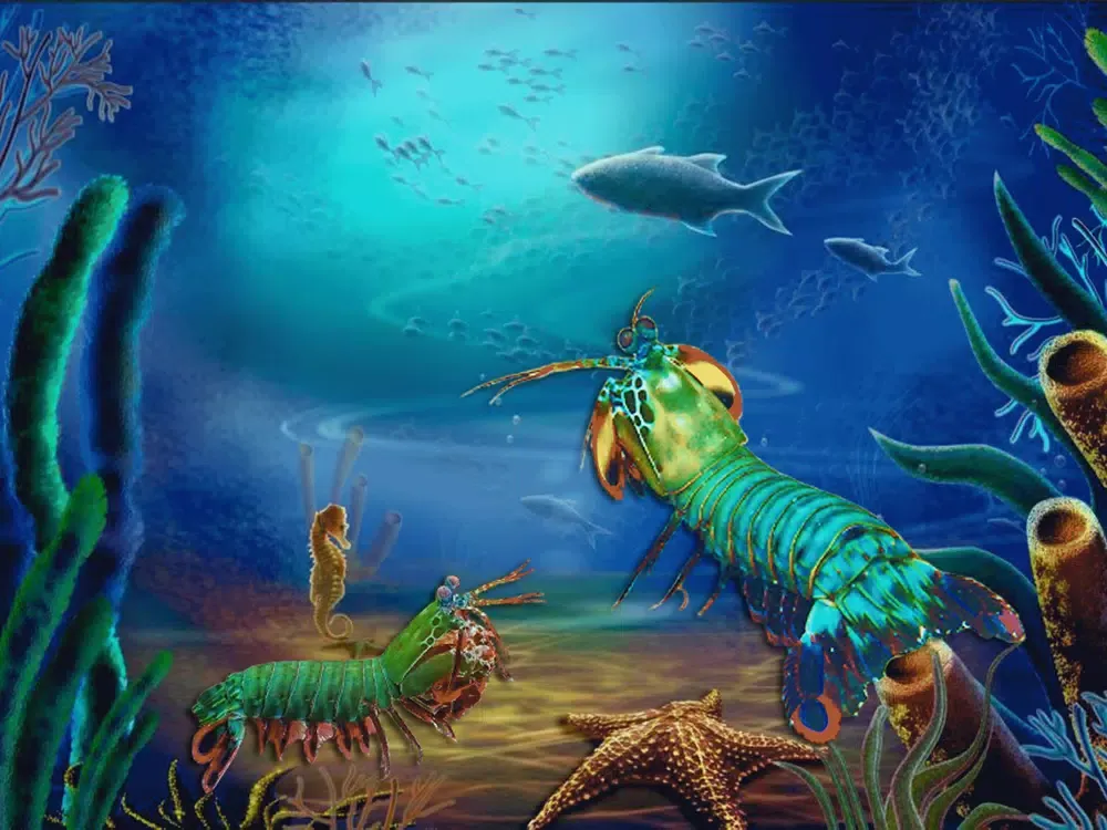 تصاویر Animal survival simulation iPad 
