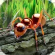 Ant simulator survival Ant simulator survival