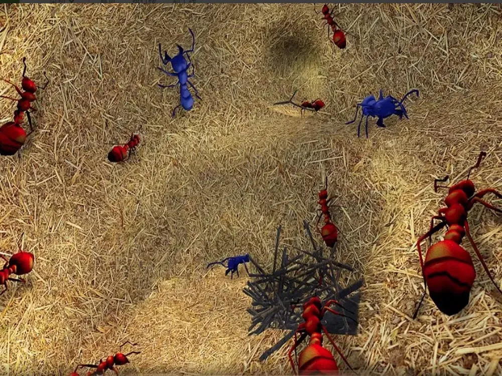 صور Ant simulator survival iPad 