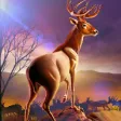 Hunt 3D