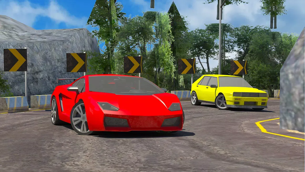 صور Impossible Car Racing Game 17