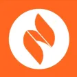 Ignite Church SA