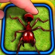 Ant Hitter
