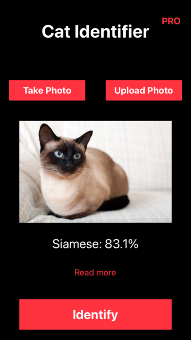 ภาพหน้าจอของ Cat Identifier: Kitty Breed ID