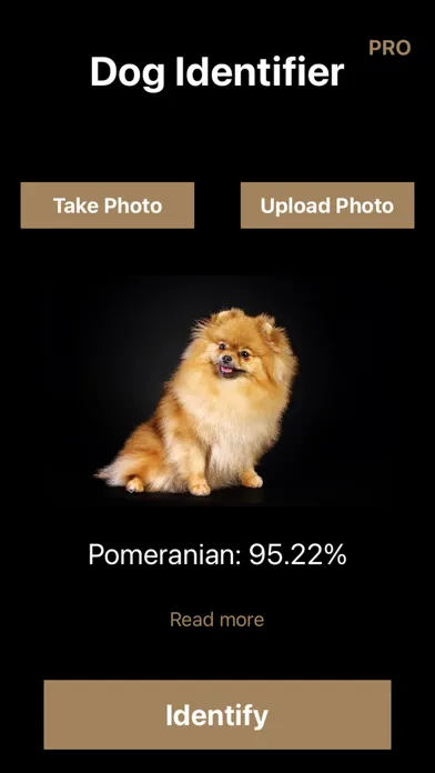 Captures d'écran de Dog Identifier: Puppy Breed ID