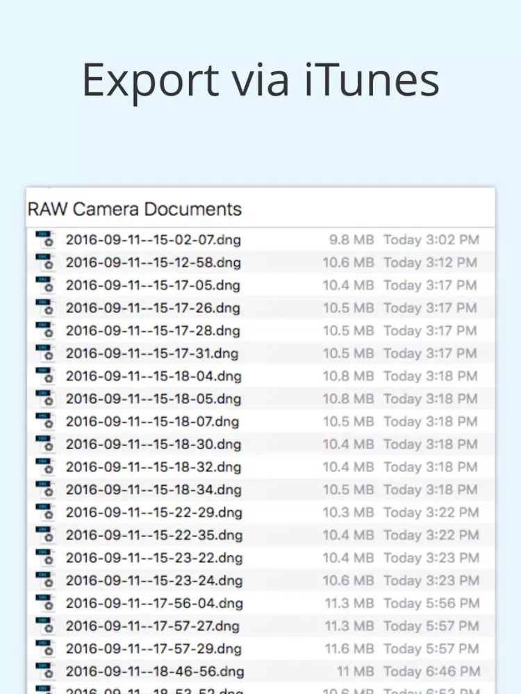 RAW Camera - Take pictures in RAW iPad  Screenshots