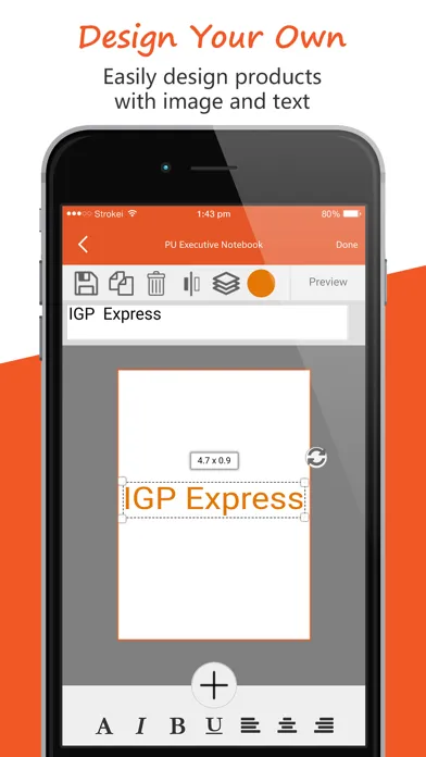 Скриншоты IGP Express