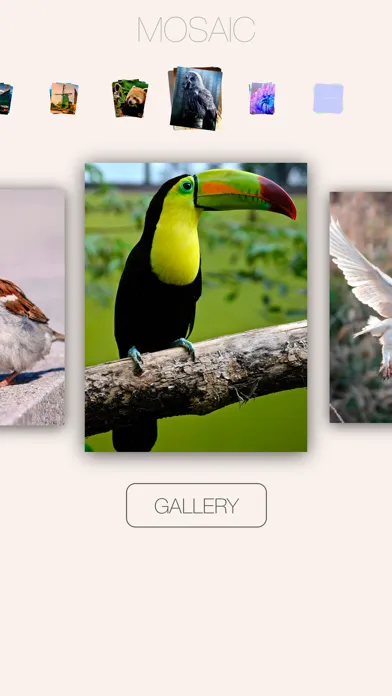 صور Art Puzzle Game For Creativity