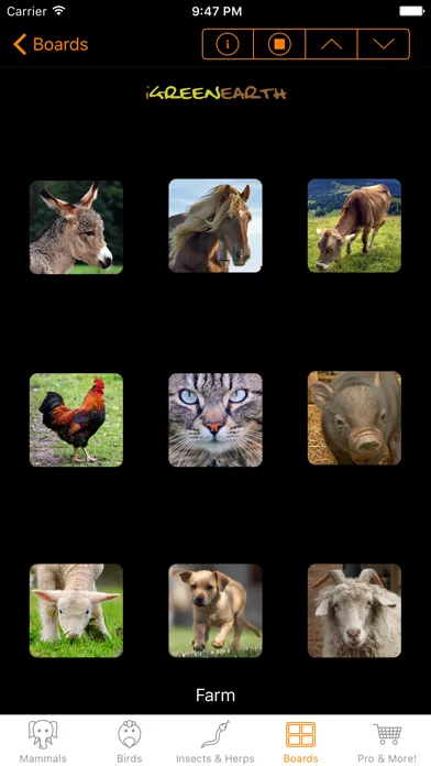 Animal Sounds and Noises Screenshots