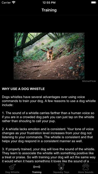 صور Dog Whistle & Squeaky Toy