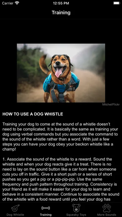 صور Dog Whistle & Squeaky Toy