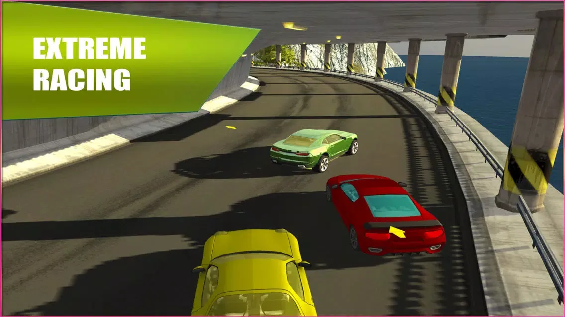 Real Car Race 3D : Free Play Racing Game應用截圖