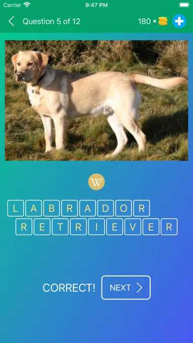 Dog Breeds Quiz: Guess the Pet應用截圖