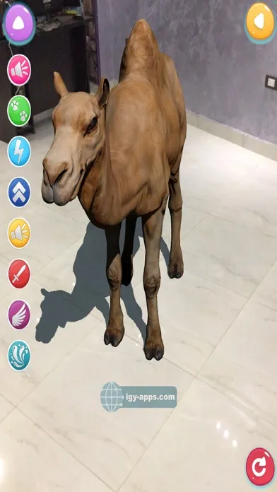 ภาพหน้าจอของ AR for Kids Animals Dinosaurs