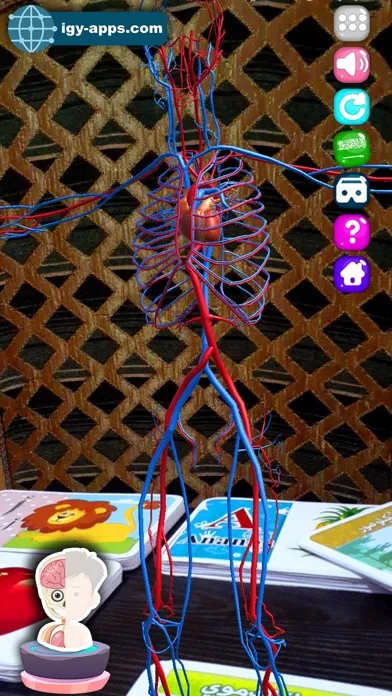 AR Kid's Kit 4D Ekran Görüntüleri