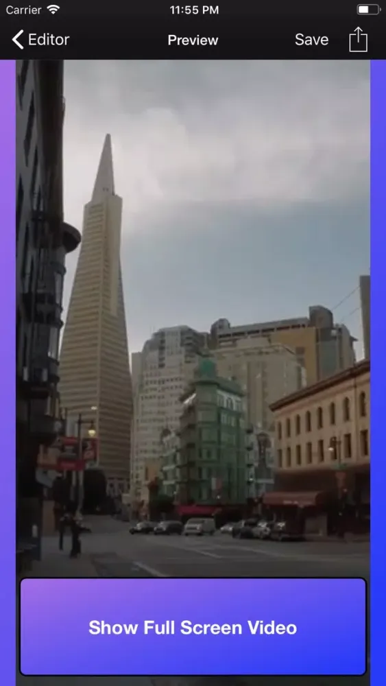 FaSloMo - Fast and SloMo Video Screenshots