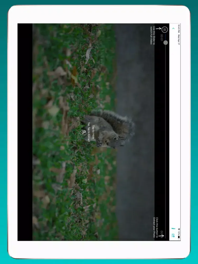 Video 2 Photo Extractor iPad  স্ক্রিনশট
