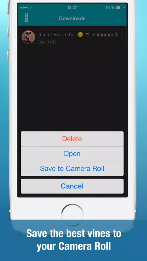 Video Downloader for Vine (Save unlimited vines to your Camera Roll, watch best videos using handy player, vinegrab, save videos from private messages) Ekran Görüntüleri