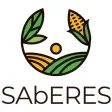 Saberes