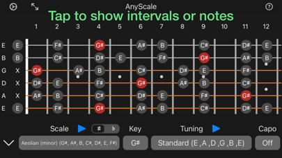 Zrzuty ekranu AnyScale - Tunings & Scales