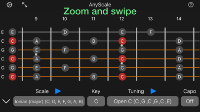 Zrzuty ekranu AnyScale - Tunings & Scales