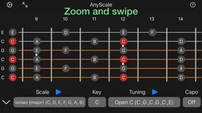Capturas de pantalla de AnyScale - Tunings & Scales