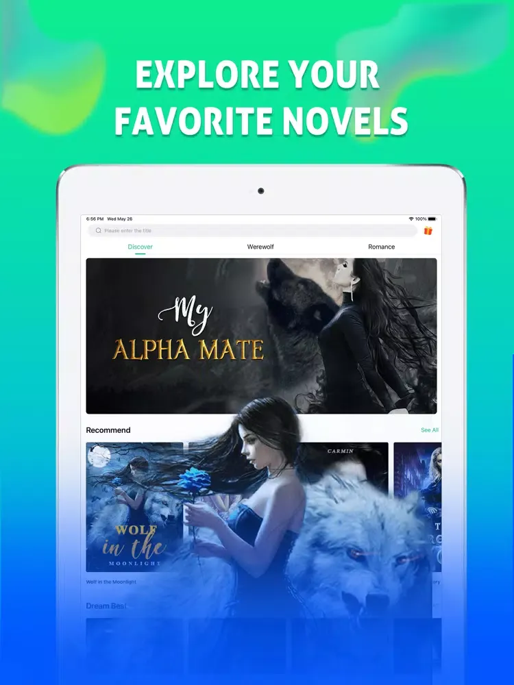 ภาพหน้าจอของ DreamNovel-Fictions iPad 