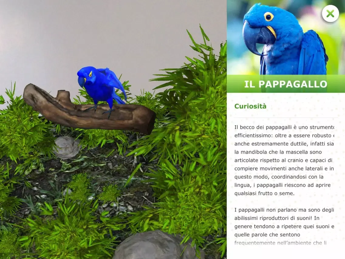 Captures d'écran de Colleziona La Natura iPad 