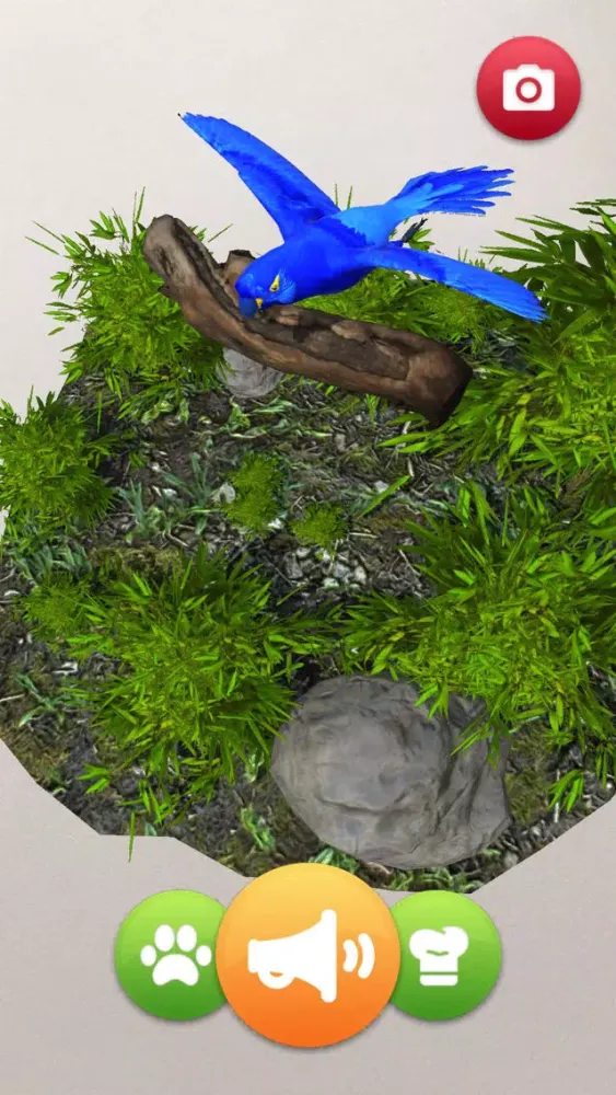 Captures d'écran de Colleziona La Natura