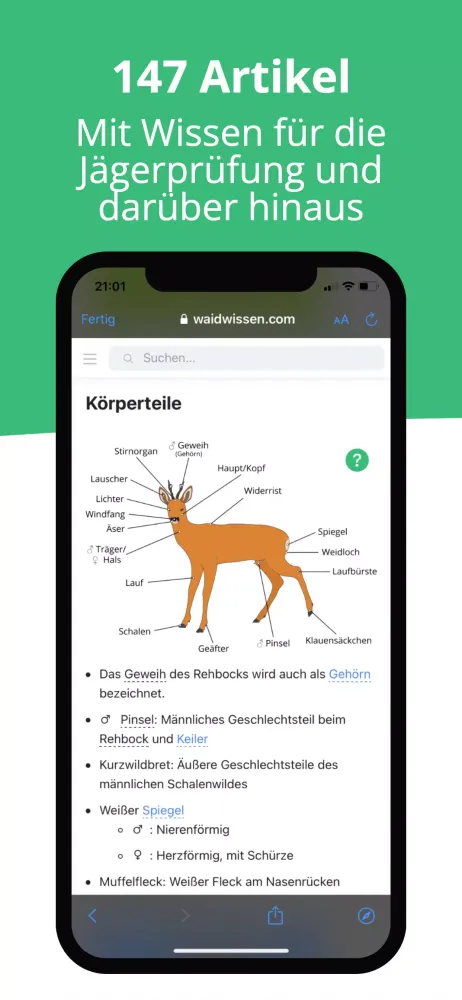 صور Waidwissen