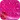 Romantic Rose Theme