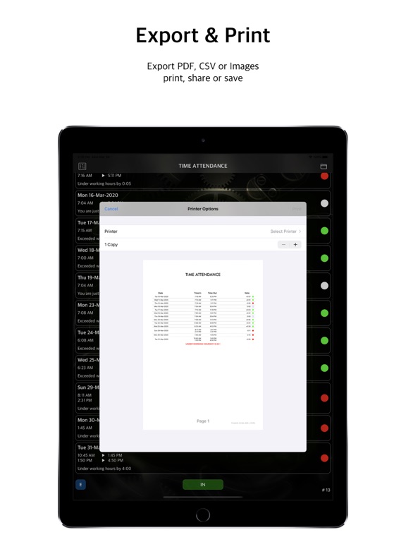 TIMEA iPad  스크린샷