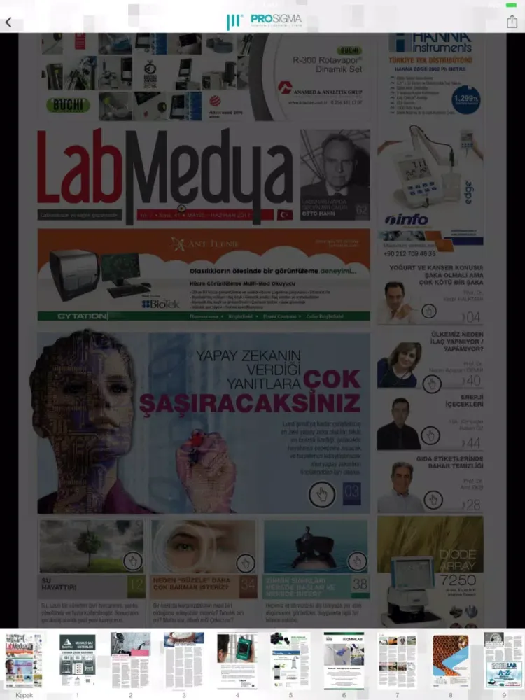 Prosigma Gazetelik iPad 应用截图