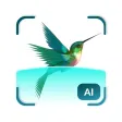 Bird Detect Bird Detect