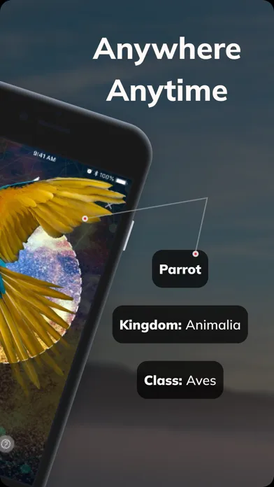 Zrzuty ekranu Bird Detect