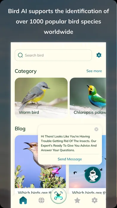 Zrzuty ekranu Bird Detect
