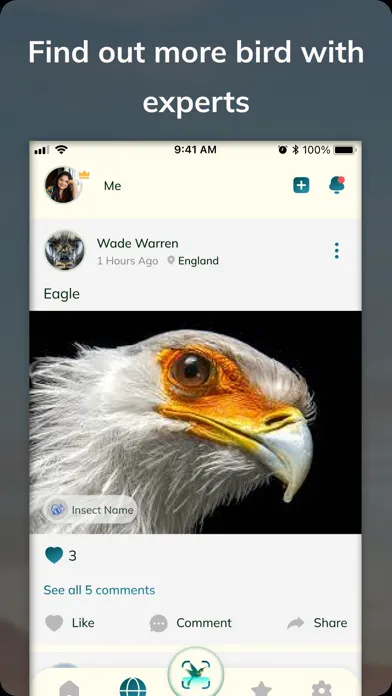Zrzuty ekranu Bird Detect