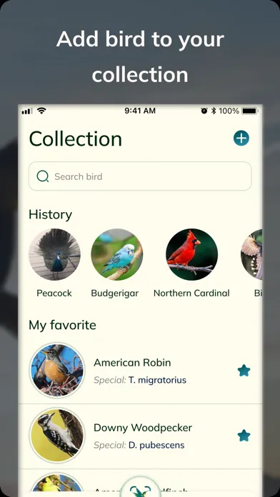 Zrzuty ekranu Bird Detect