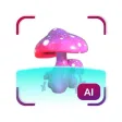 MushroomAI: Fungi ID & Guide MushroomAI: Fungi ID & Guide