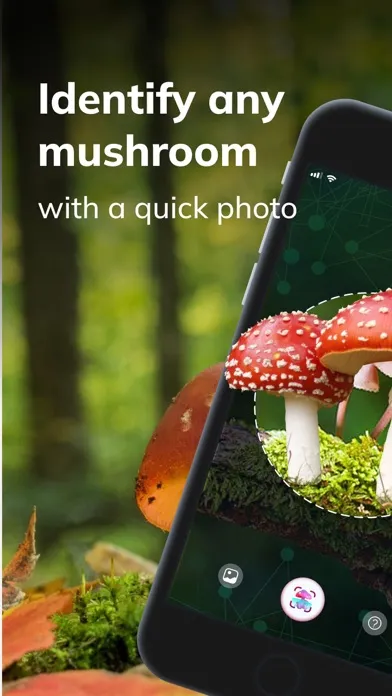Tangkapan layar MushroomAI: Fungi ID & Guide