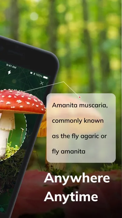 Tangkapan layar MushroomAI: Fungi ID & Guide