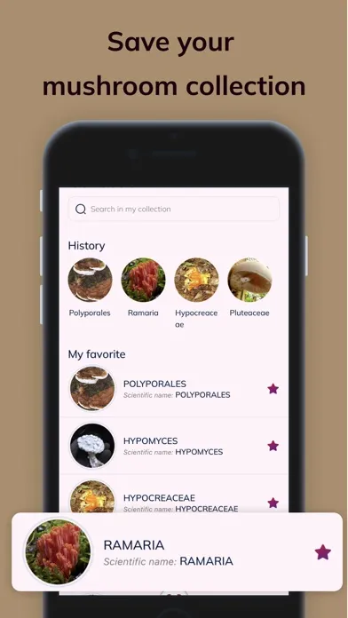 Tangkapan layar MushroomAI: Fungi ID & Guide
