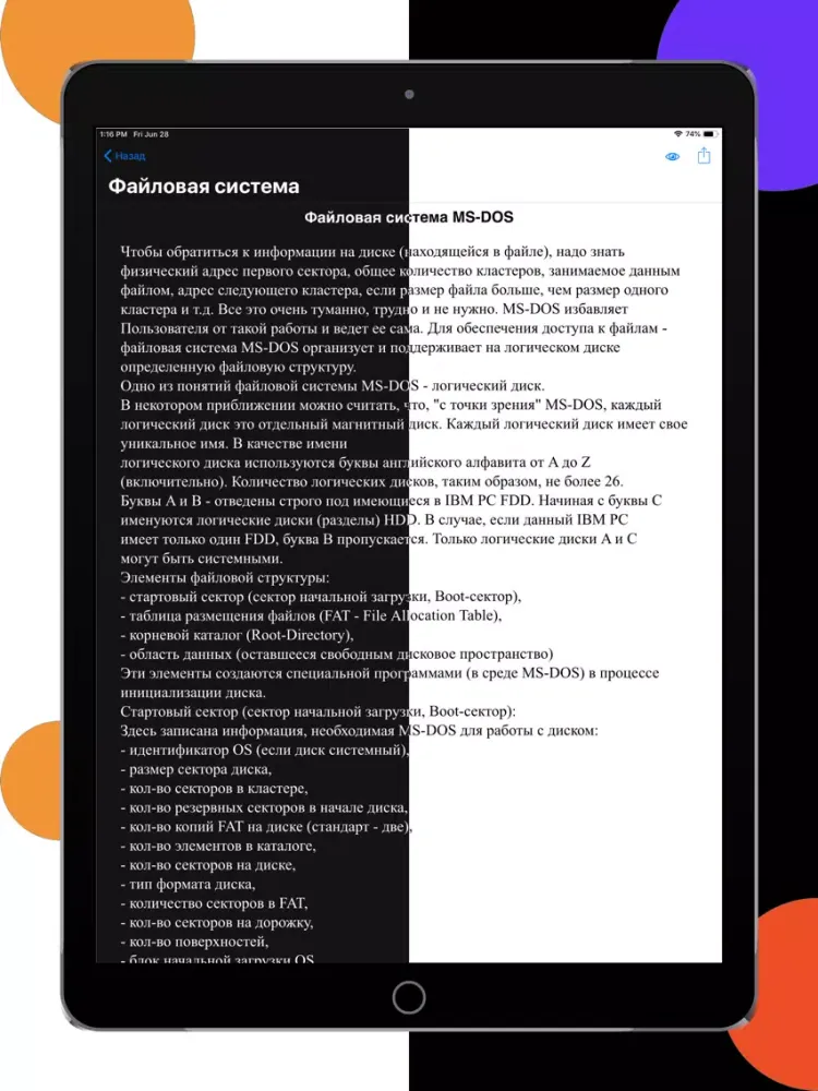 ЕГЭра: Информатика iPad 应用截图