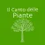 Il Canto delle Piante