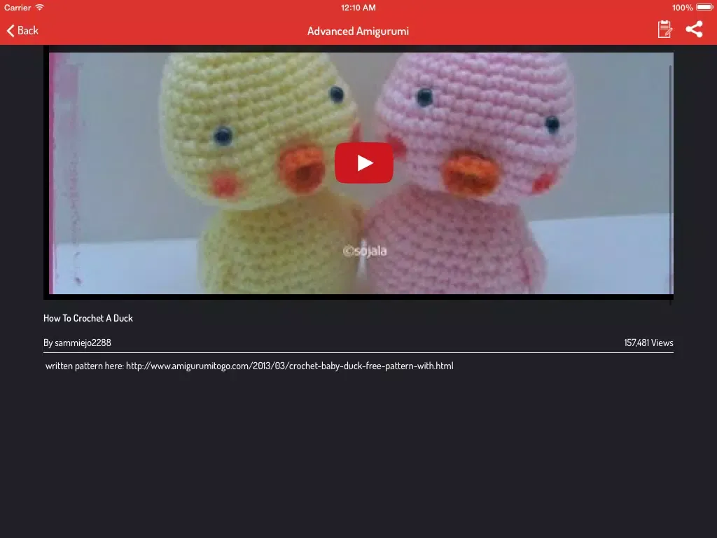 Amigurimi Guide - How To Do Amigurumi iPad 应用截图