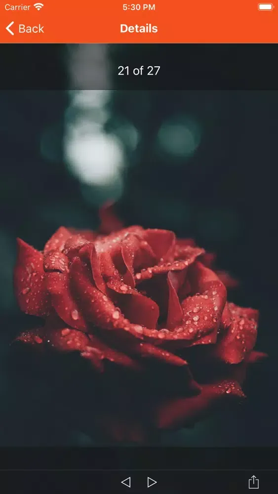 Ảnh chụp màn hình của Romantic Wallpaper